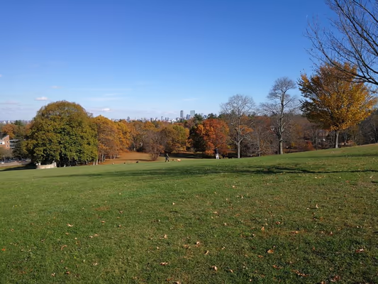 Anderson Farm County Park Dog Park
